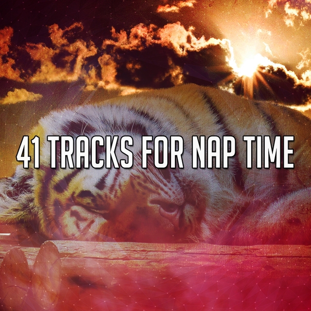 41 Tracks For Nap Time