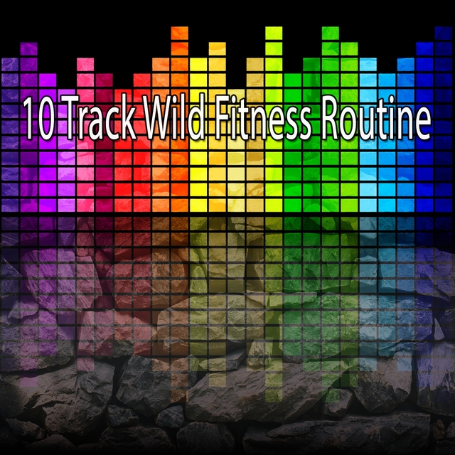 Couverture de 10 Track Wild Fitness Routine