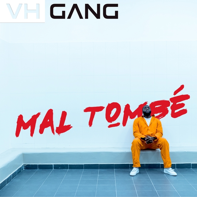 Couverture de Mal tombé