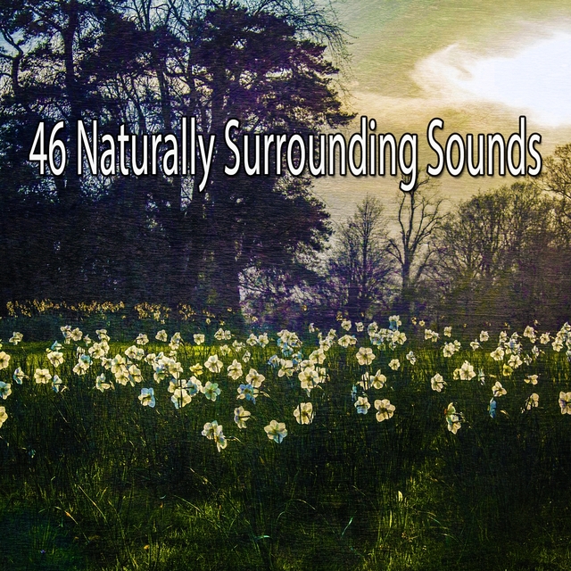 46 Naturally Surrounding Sounds