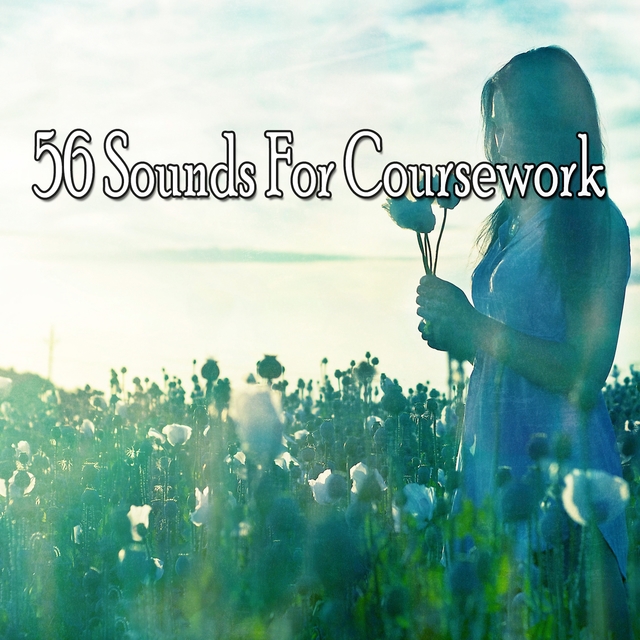 Couverture de 56 Sounds For Coursework