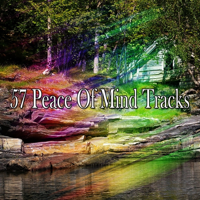 Couverture de 57 Peace Of Mind Tracks