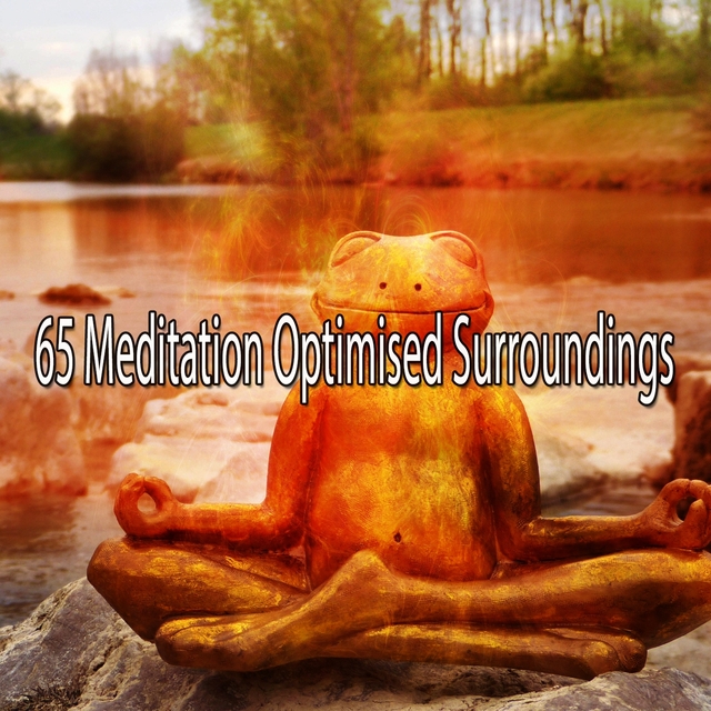 65 Meditation Optimised Surroundings