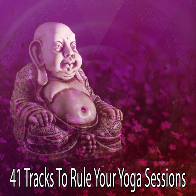 Couverture de 41 Tracks To Rule Your Yoga Sessions