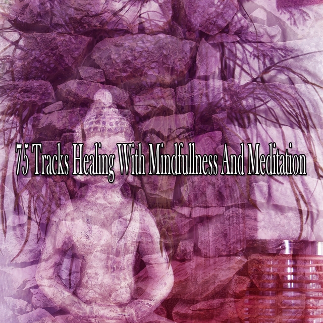 Couverture de 75 Tracks Healing With Mindfullness And Meditation