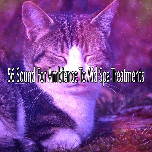 56 Sound For Ambience To Aid Spa Treatments