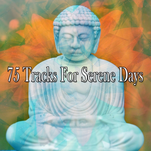 Couverture de 75 Tracks For Serene Days