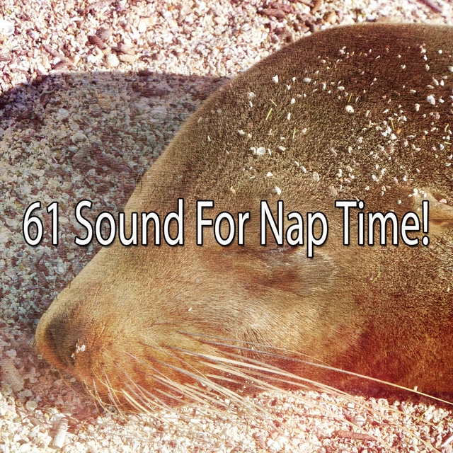 Couverture de 61 Sound For Nap Time!