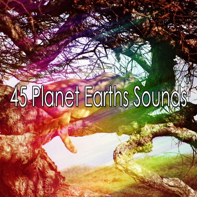 Couverture de 45 Planet Earths Sounds
