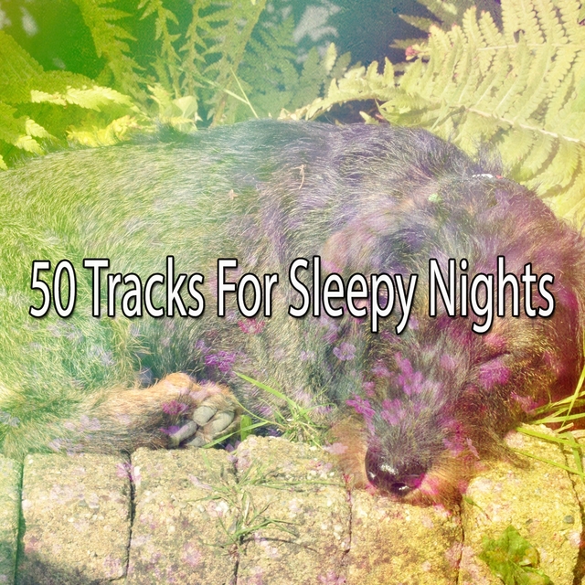 50 Tracks For Sleepy Nights