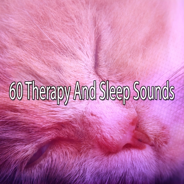 60 Therapy And Sleep Sounds