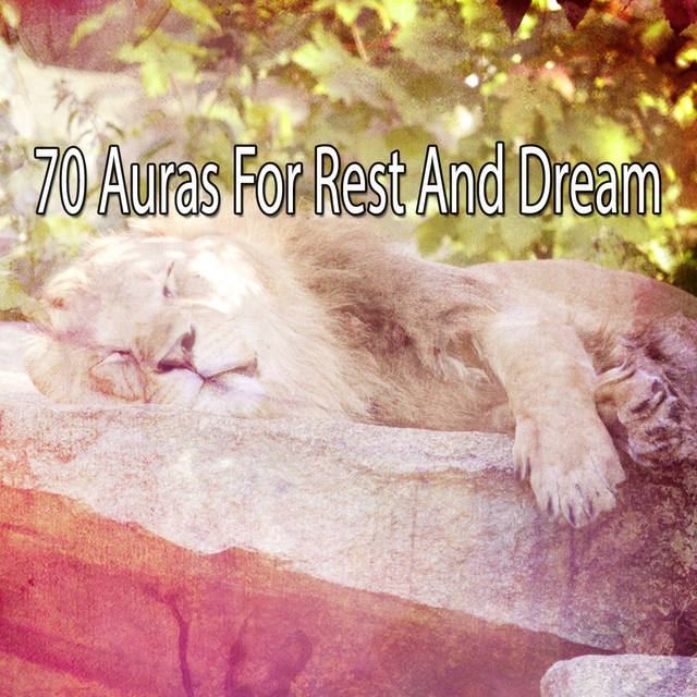 Couverture de 70 Auras For Rest And Dream