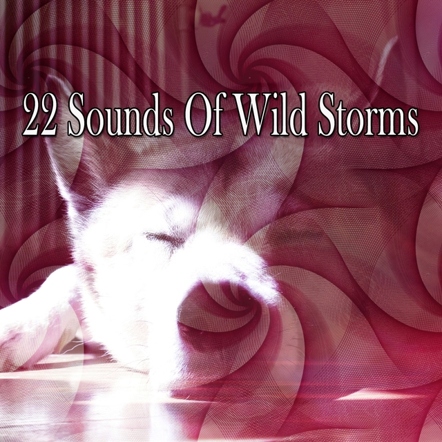 Couverture de 22 Sounds Of Wild Storms