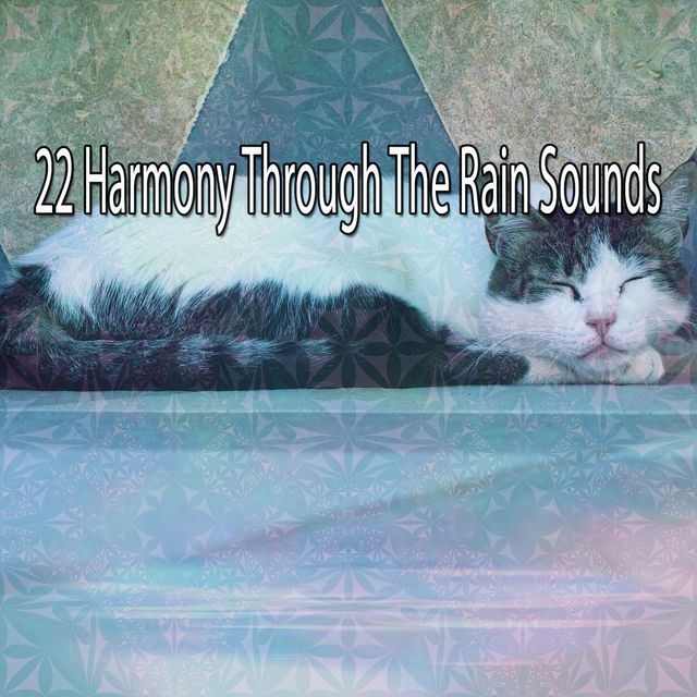 Couverture de 22 Harmony Through The Rain Sounds