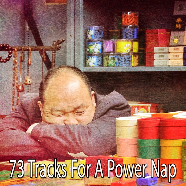 Couverture de 73 Tracks For A Power Nap