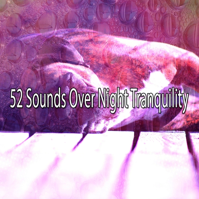 Couverture de 52 Sounds Over Night Tranquility