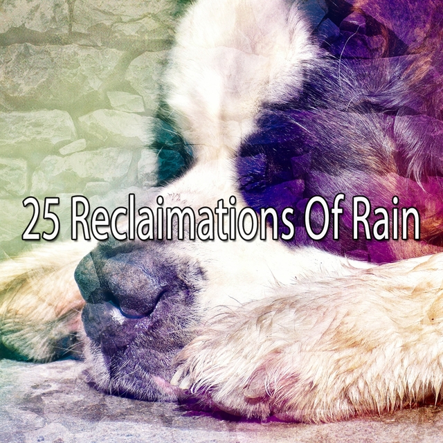 25 Reclaimations Of Rain