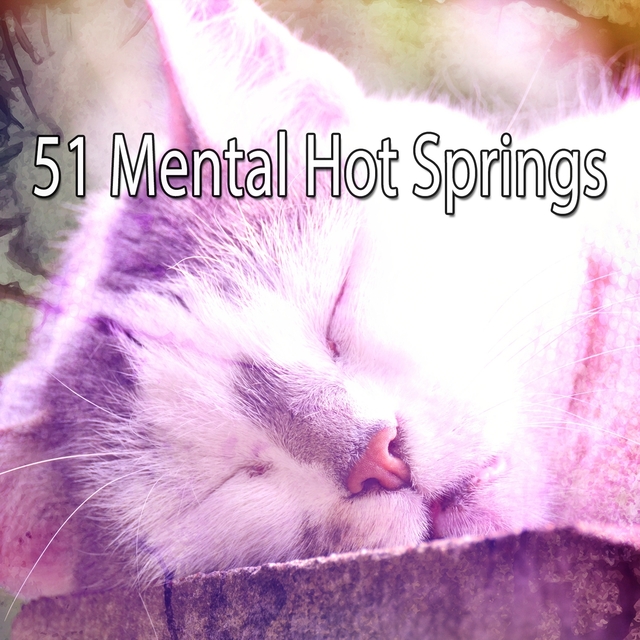 51 Mental Hot Springs