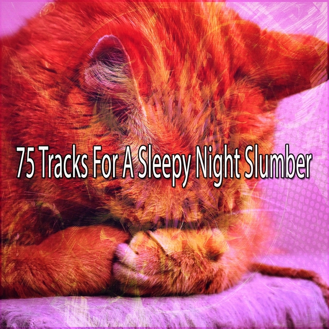 75 Tracks For A Sleepy Night Slumber