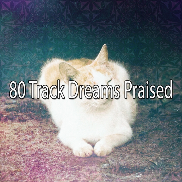 Couverture de 80 Track Dreams Praised