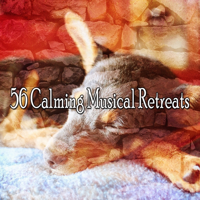 56 Calming Musical Retreats