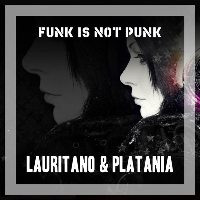 Couverture de Funk Is Not Punk