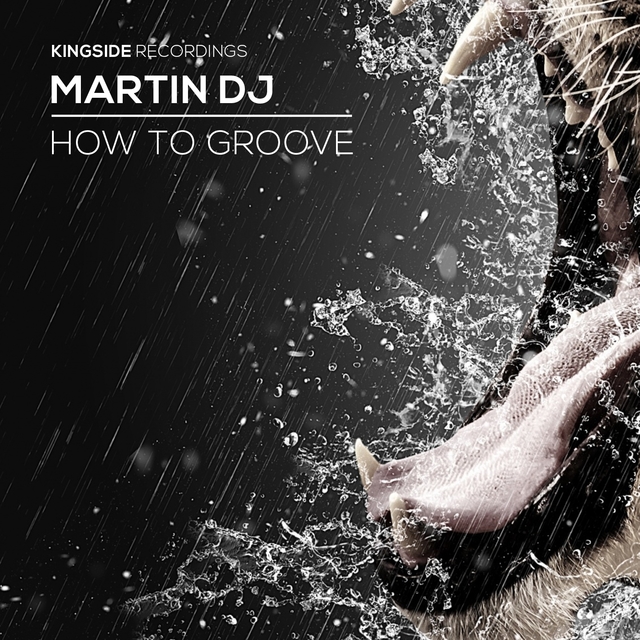 Couverture de How To Groove