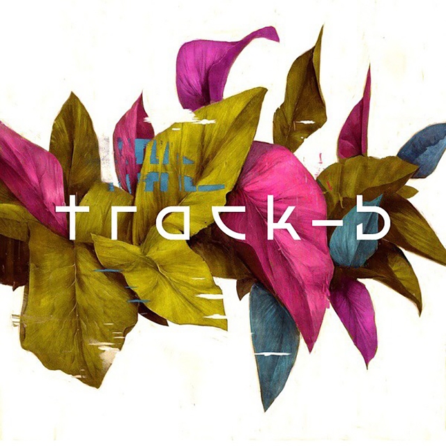 Track-B