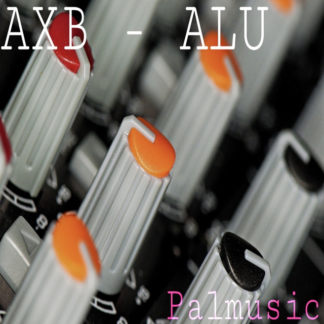 Couverture de Alu