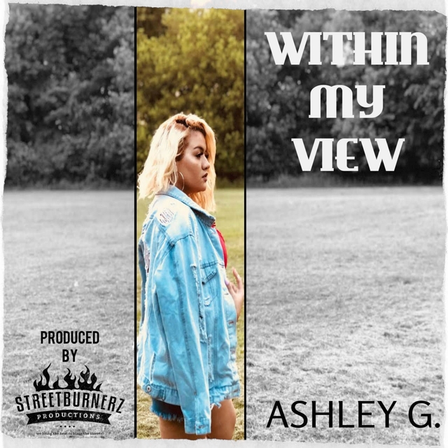 Couverture de Within My View