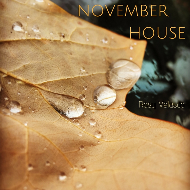 November House