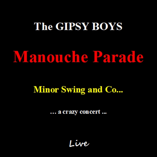 Couverture de Manouche Parade (Minor Swing and Co... A Crazy Concert) [Live]