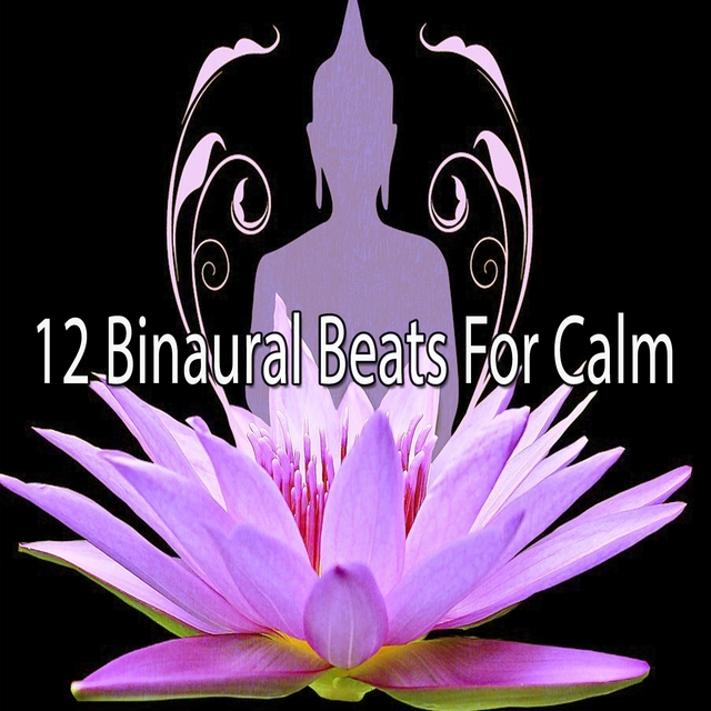 12 Binaural Beats For Calm