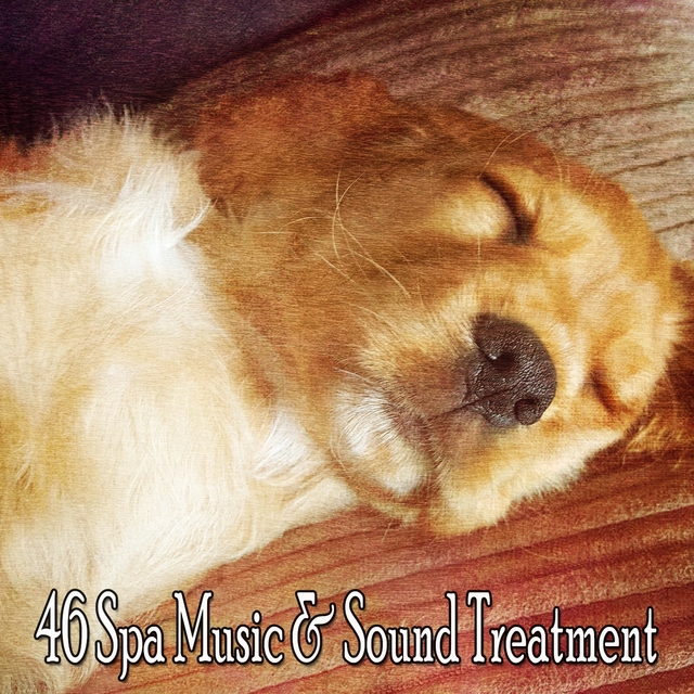 46 Spa Music & Sound Treatment