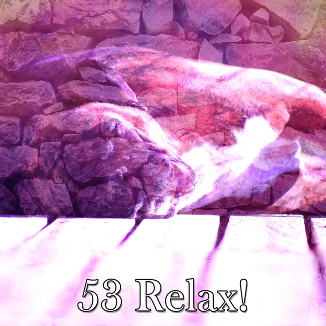 53 Relax!
