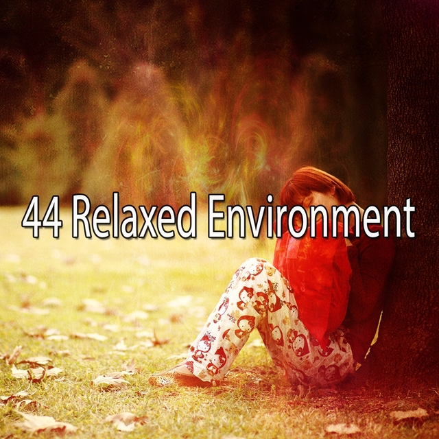 44 Relaxed Environment