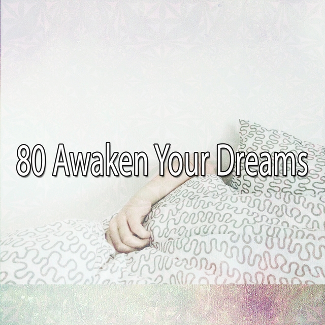 Couverture de 80 Awaken Your Dreams