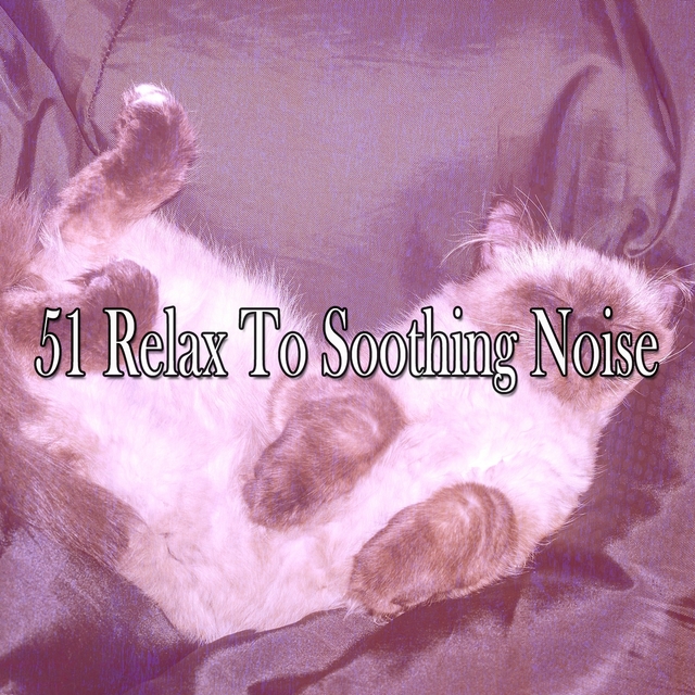 51 Relax To Soothing Noise