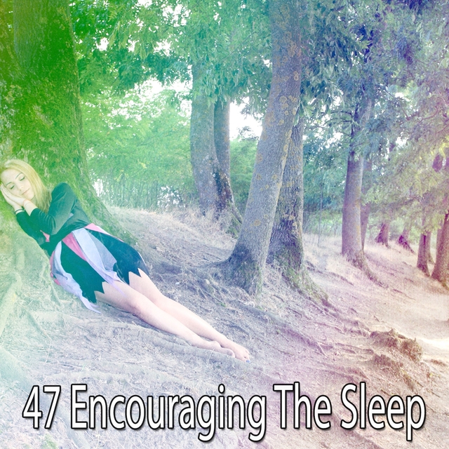 Couverture de 47 Encouraging The Sleep