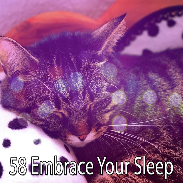 Couverture de 58 Embrace Your Sleep