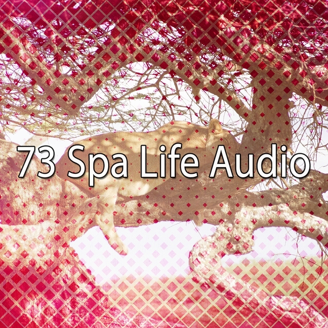 73 Spa Life Audio