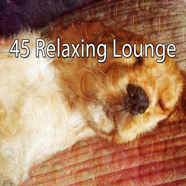 45 Relaxing Lounge