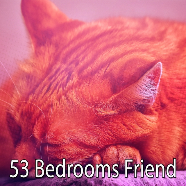 Couverture de 53 Bedrooms Friend