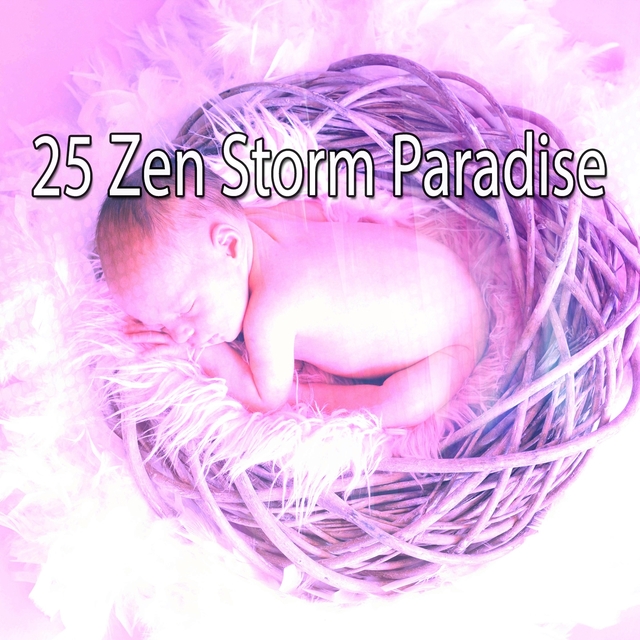 25 Zen Storm Paradise