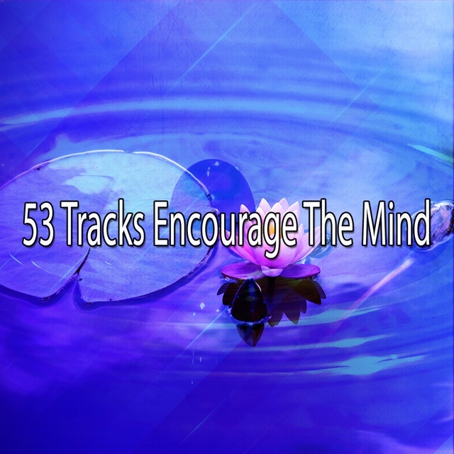 53 Tracks Encourage The Mind