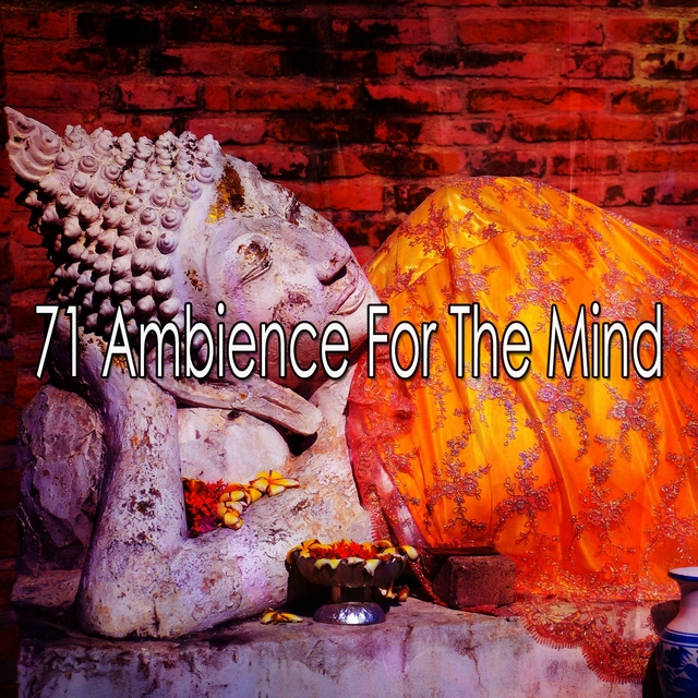 71 Ambience For The Mind