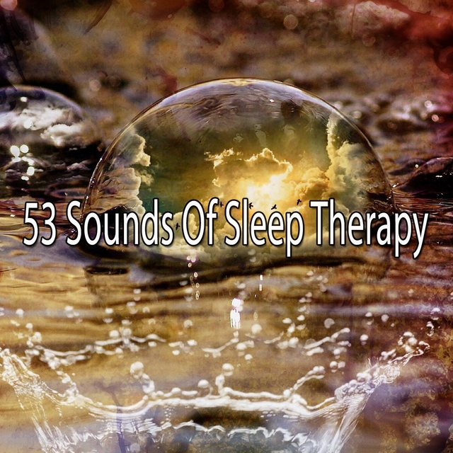 Couverture de 53 Sounds Of Sleep Therapy