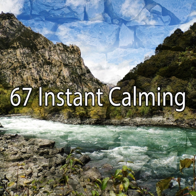 67 Instant Calming