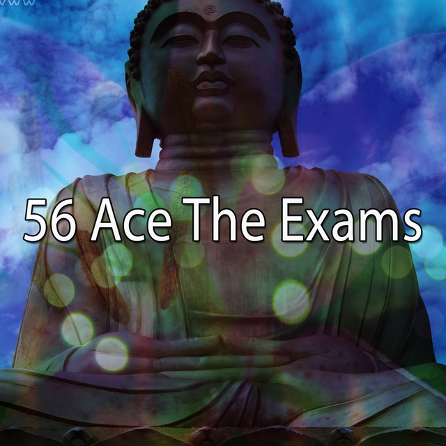 Couverture de 56 Ace The Exams