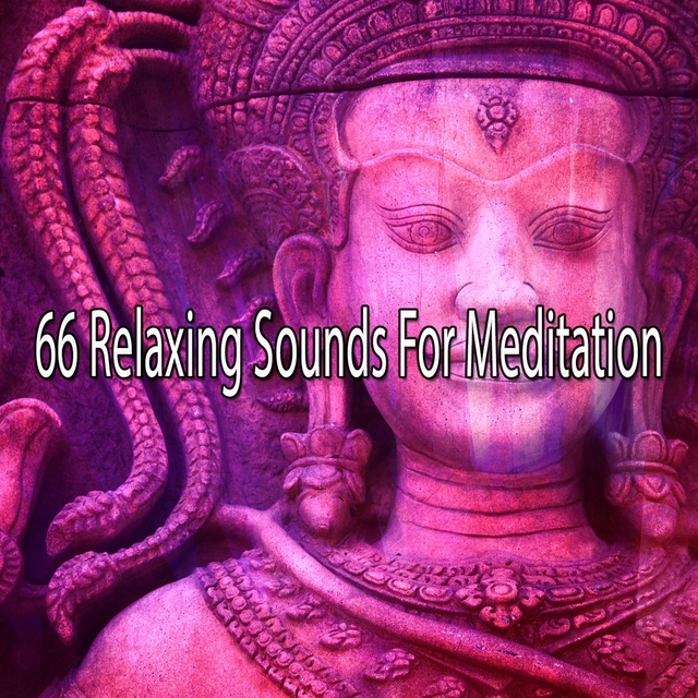 Couverture de 66 Relaxing Sounds For Meditation